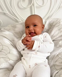 Prążkowane body w misie