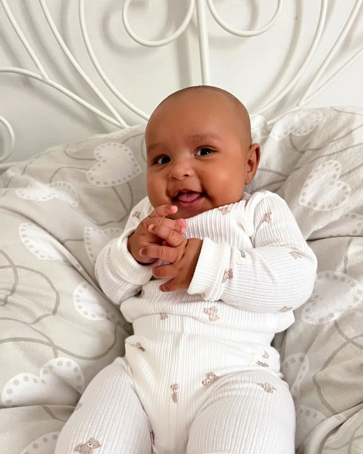 Prążkowane body w misie