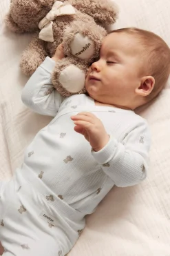 Prążkowane body w misie