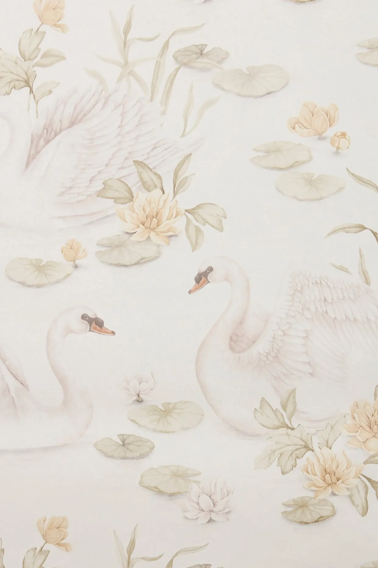 Tapeta Lily Swan