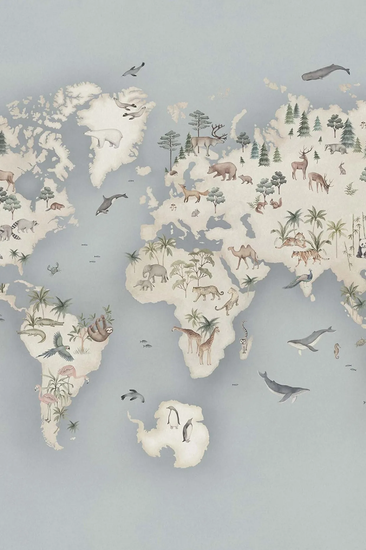 Tapeta Little Explorer - Mural