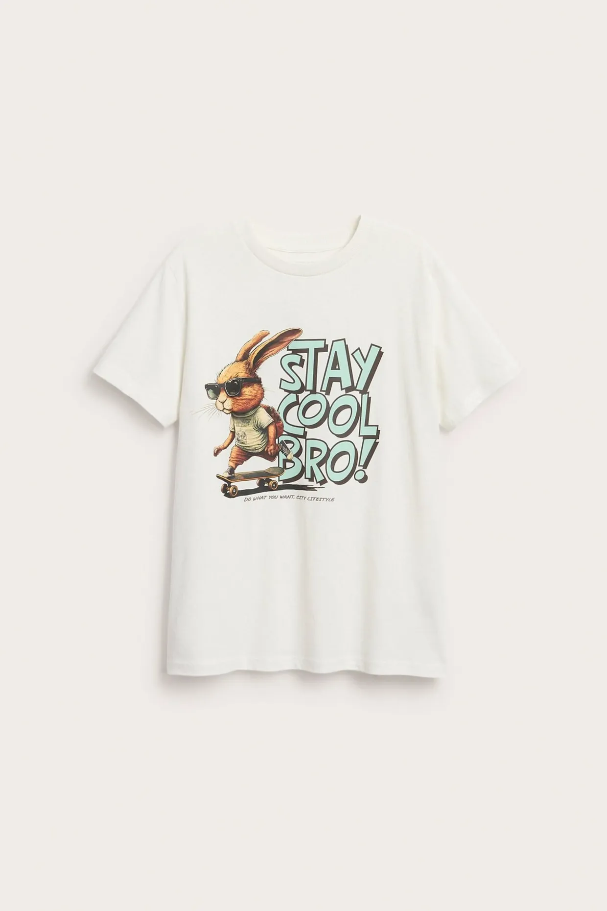 T-shirt z nadrukiem z przodu